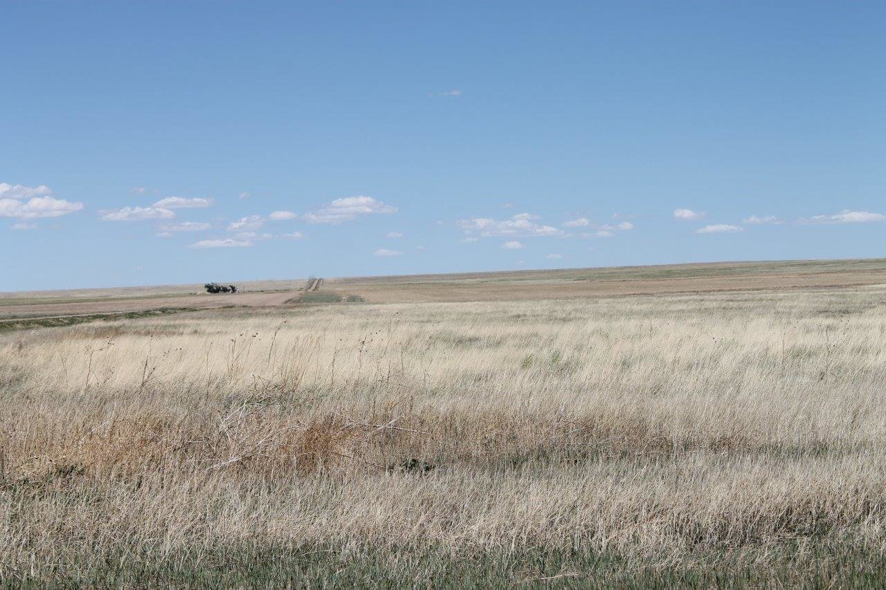 Image for KIOWA COUNTY, CO - CRP (C4054)