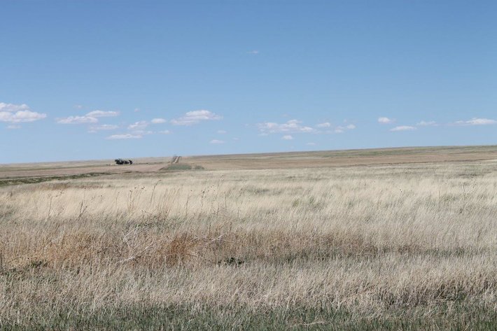 Image for KIOWA COUNTY, CO - CRP (C4054)