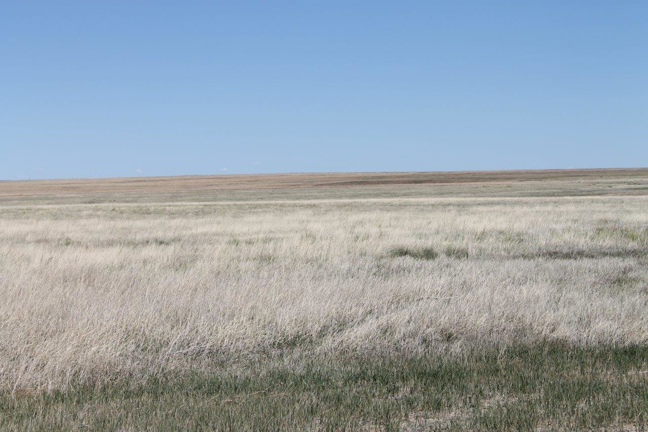 Image for KIOWA COUNTY, CO - CRP (C4054)