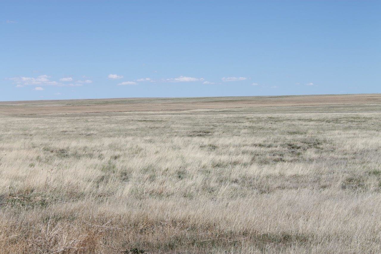 Image for KIOWA COUNTY, CO - CRP (C4054)