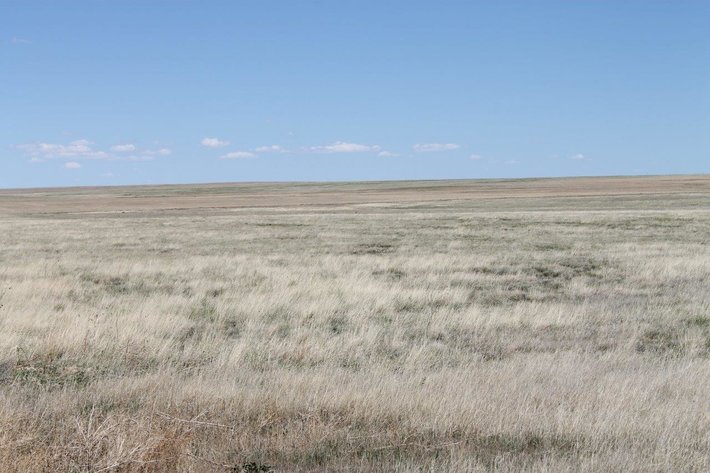 Image for KIOWA COUNTY, CO - CRP (C4054)