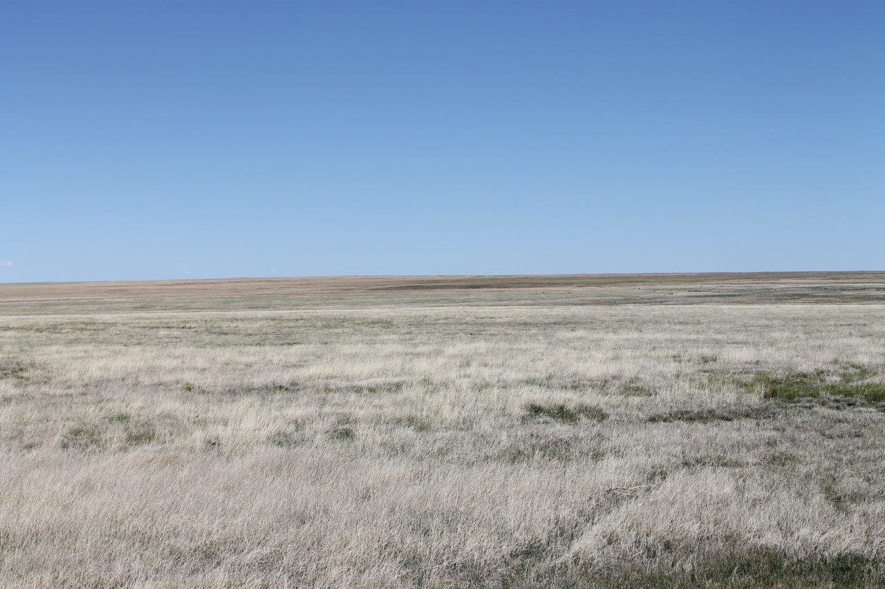 Image for KIOWA COUNTY, CO - CRP (C4054)