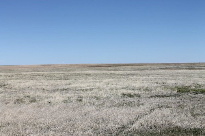 Image for KIOWA COUNTY, CO - CRP (C4054)
