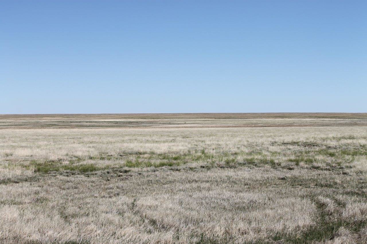Image for KIOWA COUNTY, CO - CRP (C4054)