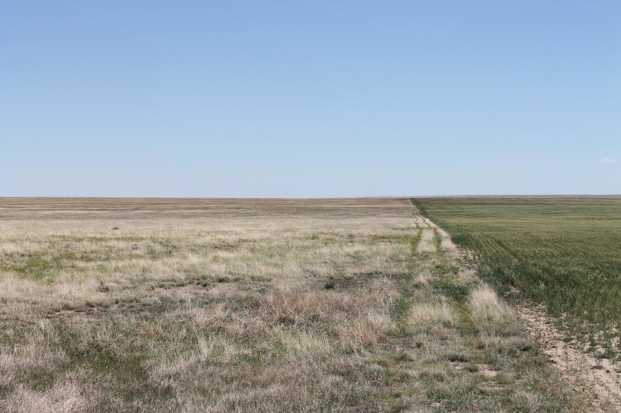 Image for KIOWA COUNTY, CO - CRP (C4054)