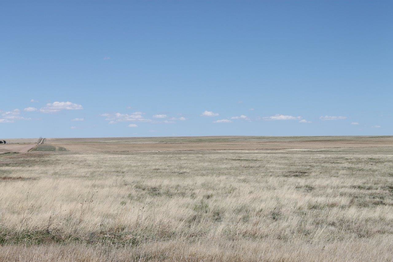 Image for KIOWA COUNTY, CO - CRP (C4054)