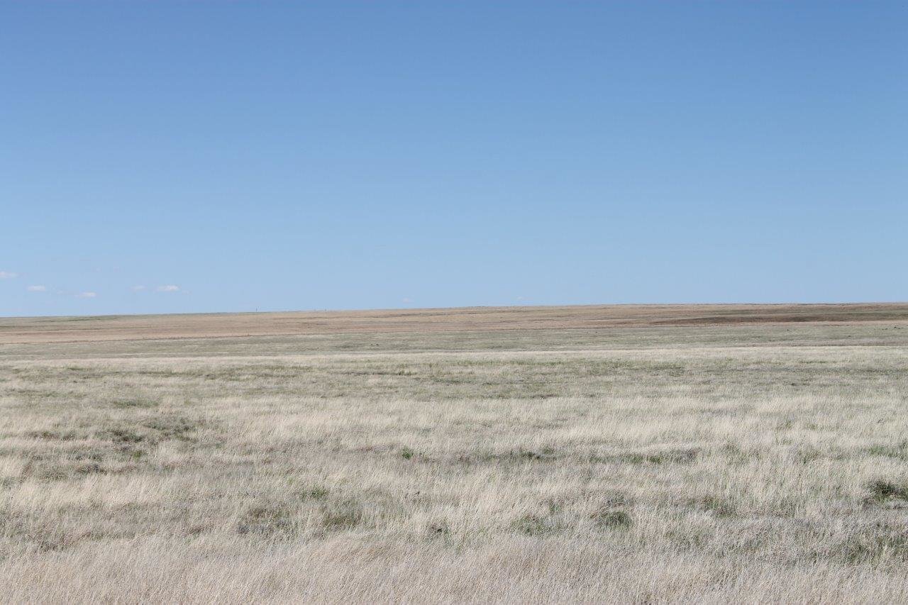 Image for KIOWA COUNTY, CO - CRP (C4054)