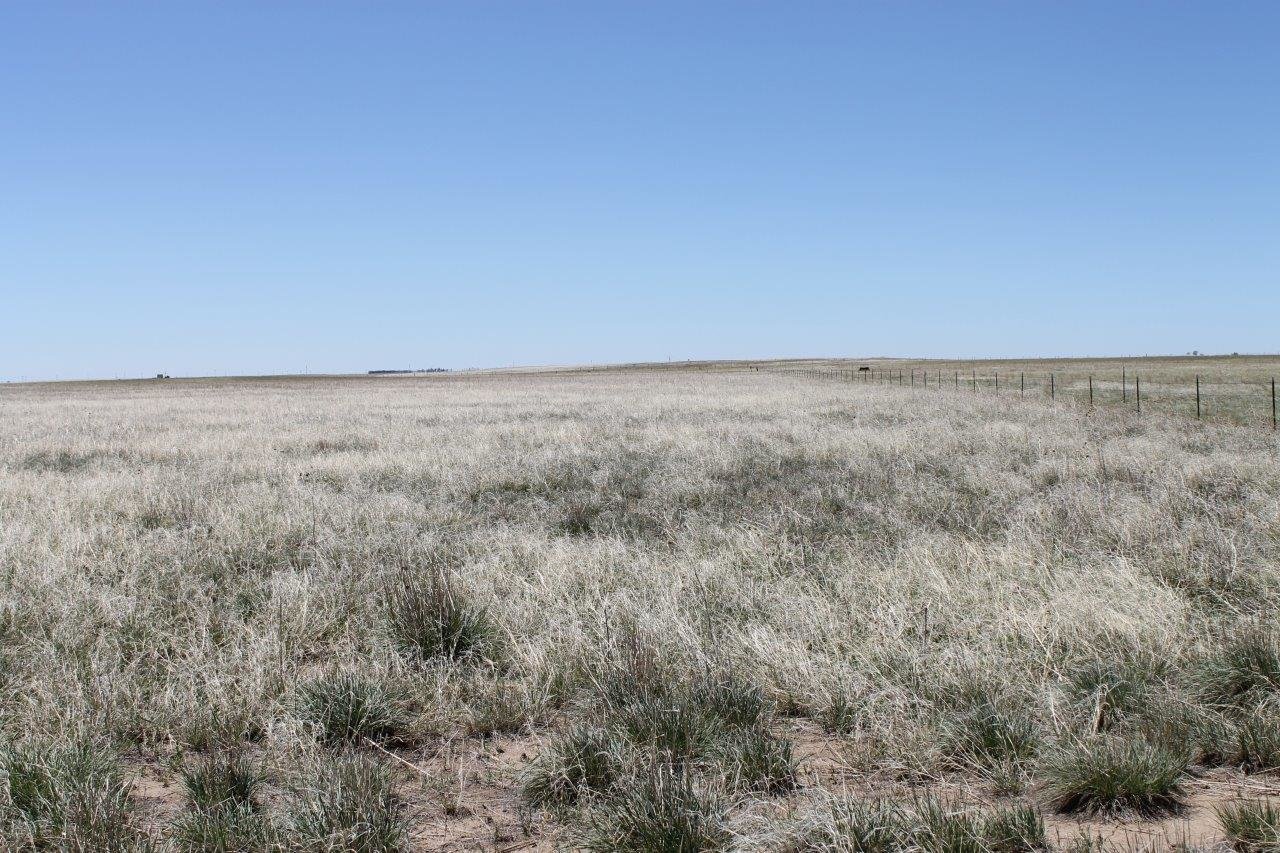 Image for LINCOLN COUNTY, CO - VACANT LOT {C4055}