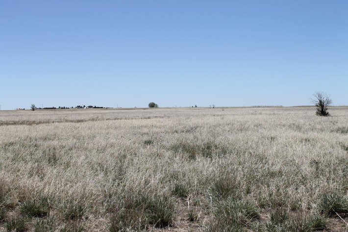 Image for LINCOLN COUNTY, CO - VACANT LOT {C4055}