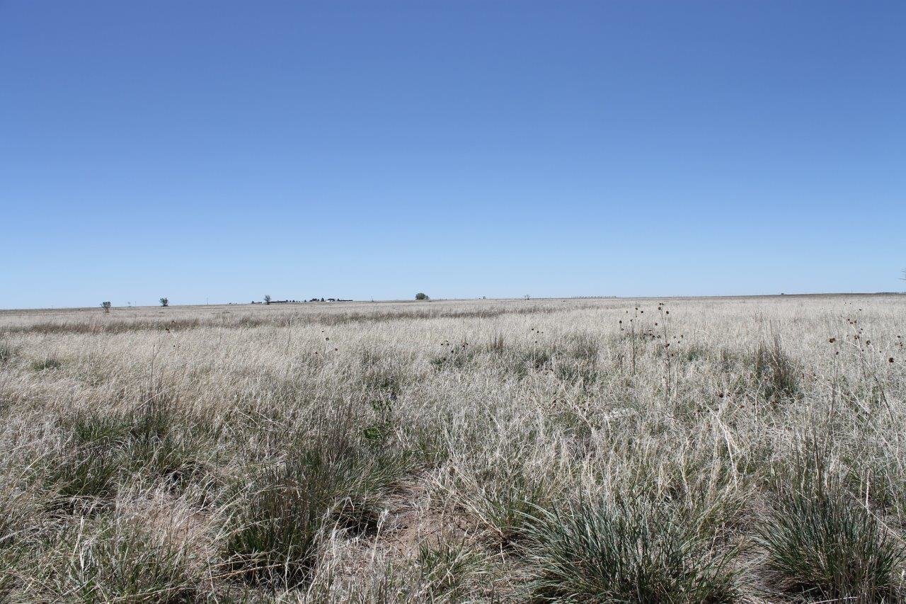 Image for LINCOLN COUNTY, CO - VACANT LOT {C4055}