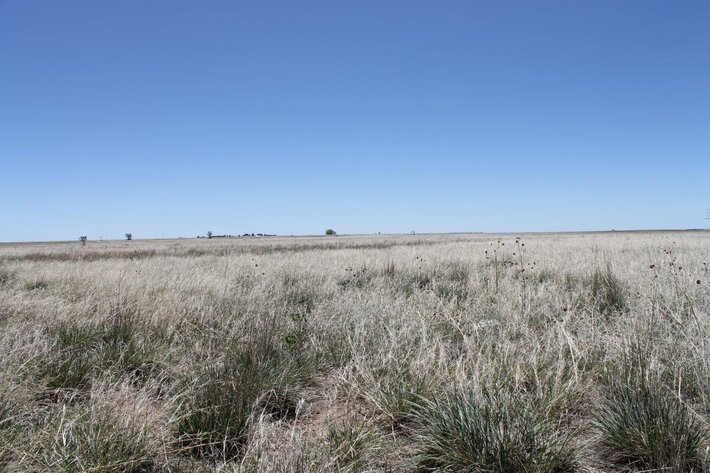 Image for LINCOLN COUNTY, CO - VACANT LOT {C4055}