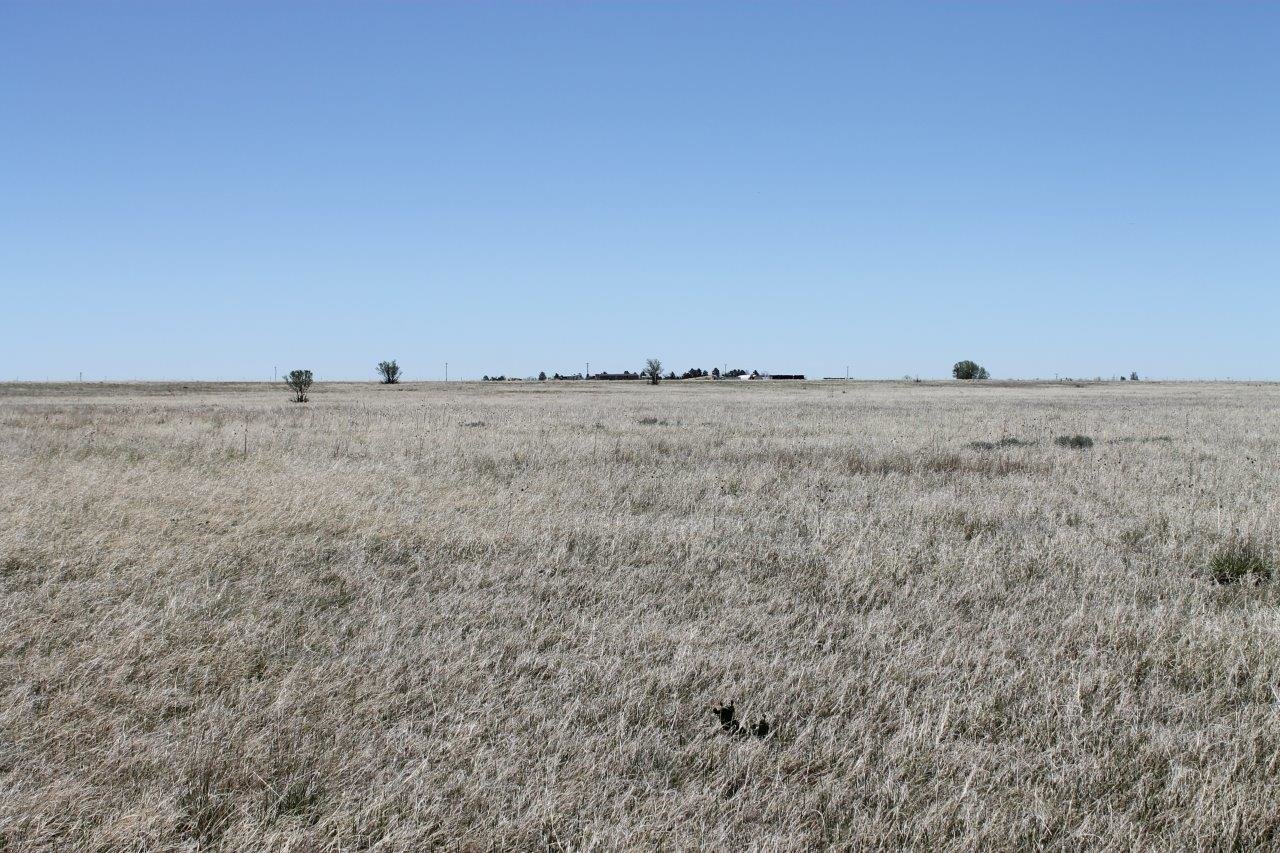 Image for LINCOLN COUNTY, CO - VACANT LOT {C4055}