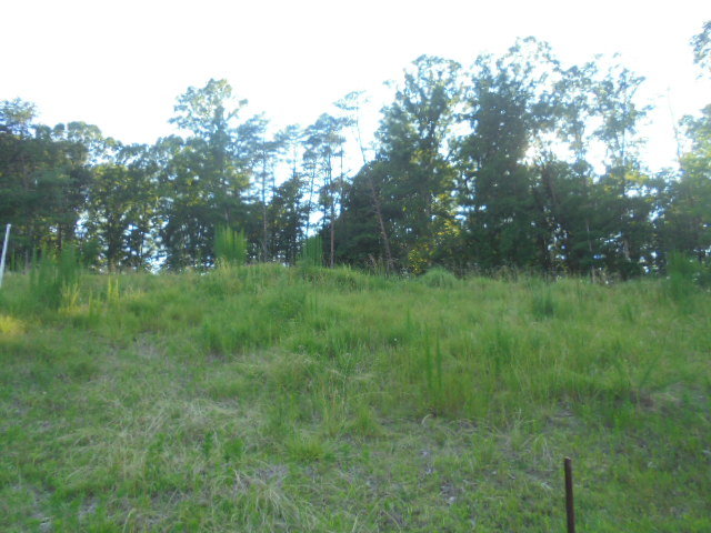 Image for UNDER CONTRACT~REAL ESTATE AUCTION~0.69 ACRE LOT IN JESSUP RIDGE SUBDIVISION