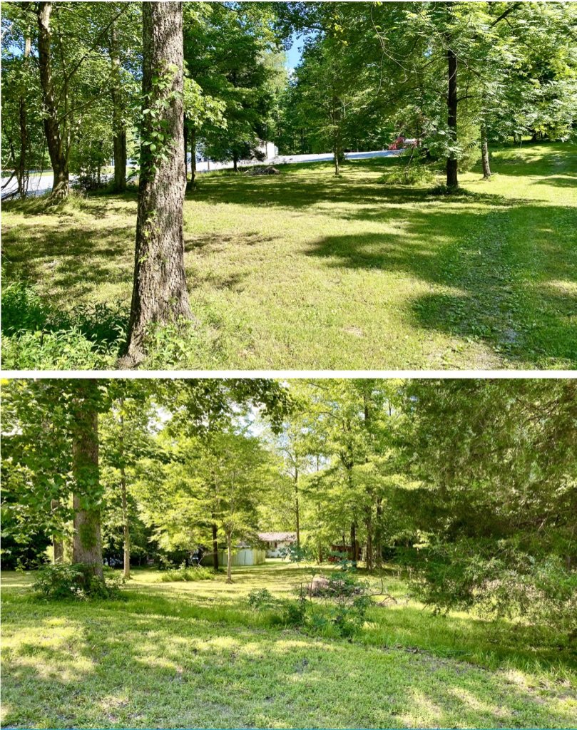 Image for 149 Apple Dr. Auction