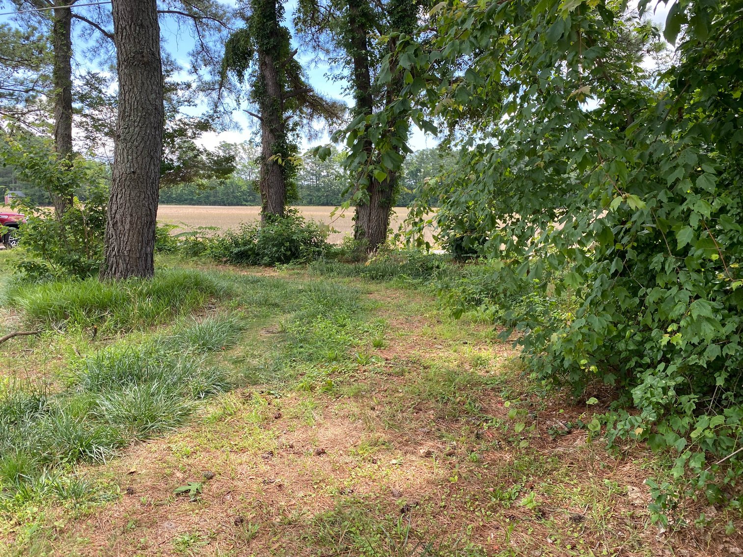 Image for UNDER CONTRACT - 4 BR / 2.5 BA Ranch House - Gloucester County - 9845 Line Fence Rd., Hayes, VA 23072