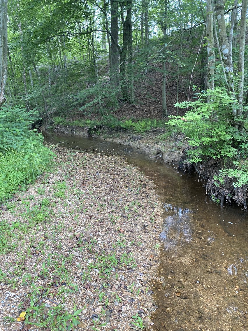 Image for 6 Tracts of Contiguous Raw Land Totaling 267 +/- Acres in Albemarle & Louisa Counties