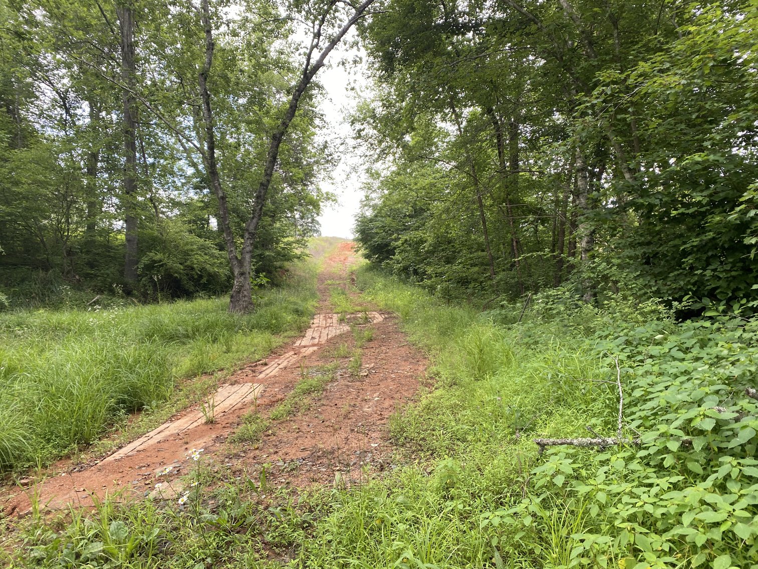 Image for 6 Tracts of Contiguous Raw Land Totaling 267 +/- Acres in Albemarle & Louisa Counties