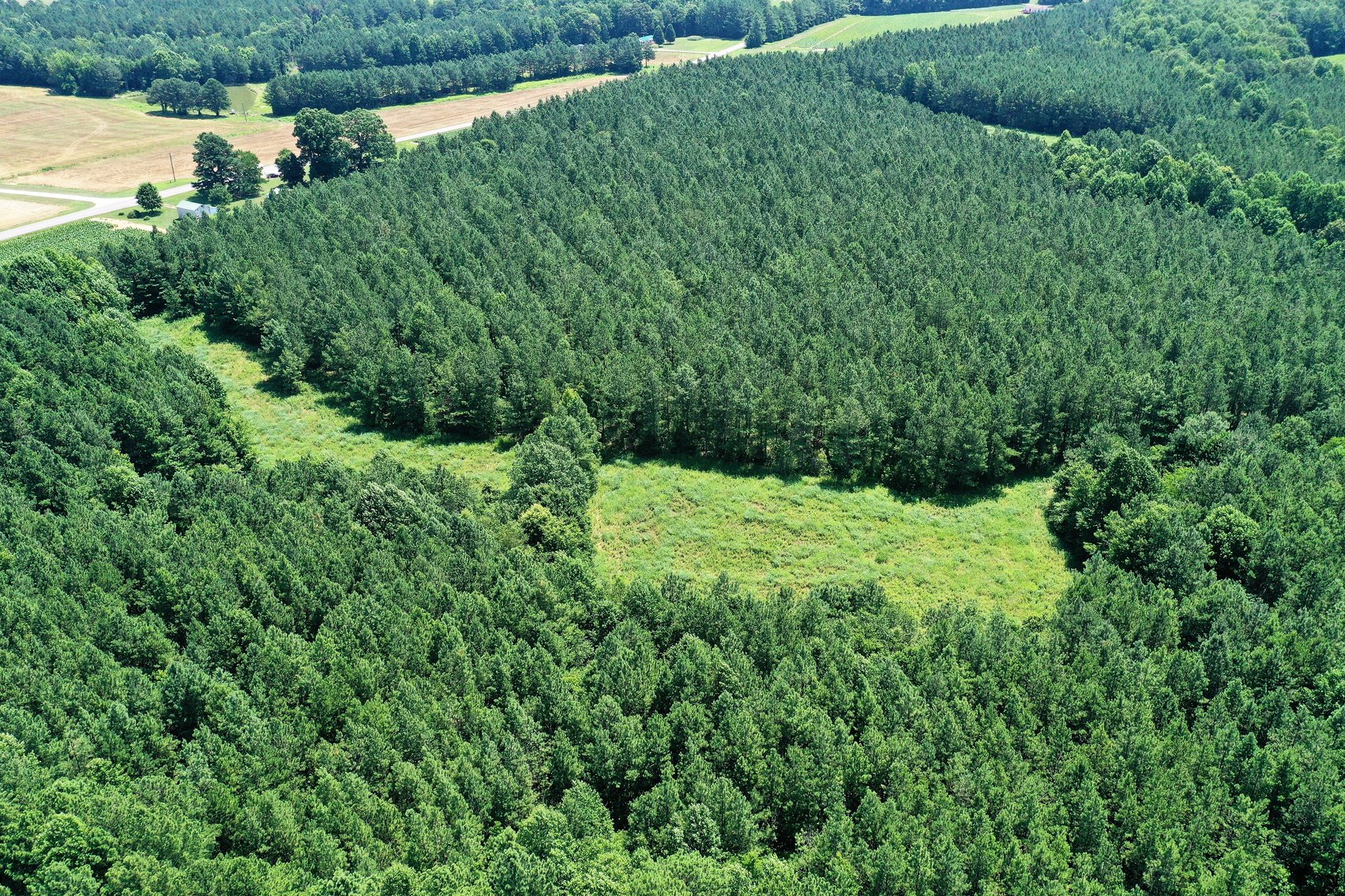 Image for 99 Acres of Timberland in Lunenburg County, VA