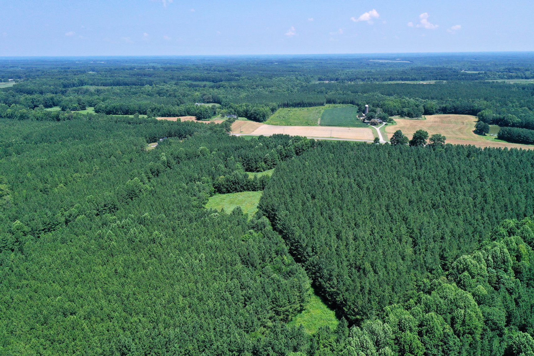 Image for 99 Acres of Timberland in Lunenburg County, VA