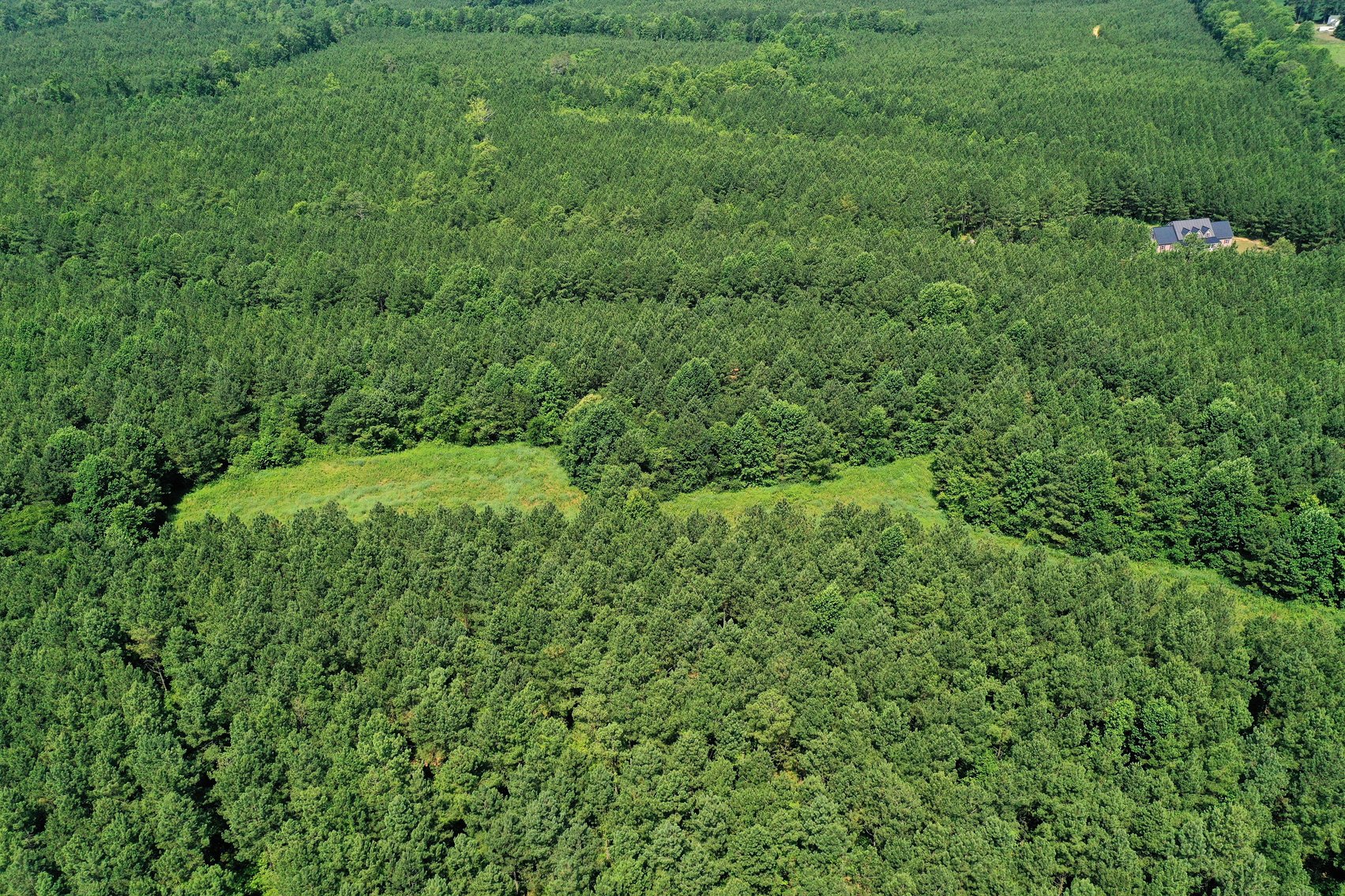 Image for 99 Acres of Timberland in Lunenburg County, VA