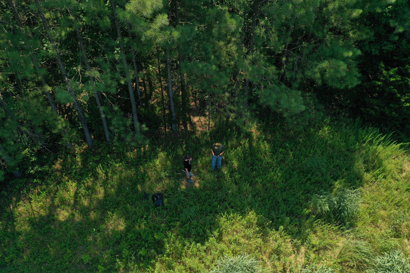 Image for 99 Acres of Timberland in Lunenburg County, VA