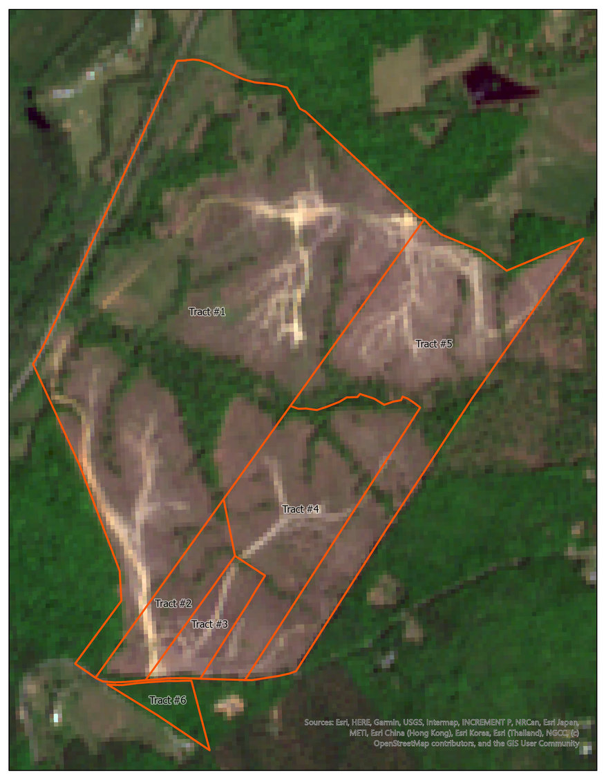 Image for 6 Tracts of Contiguous Raw Land Totaling 267 +/- Acres in Albemarle & Louisa Counties
