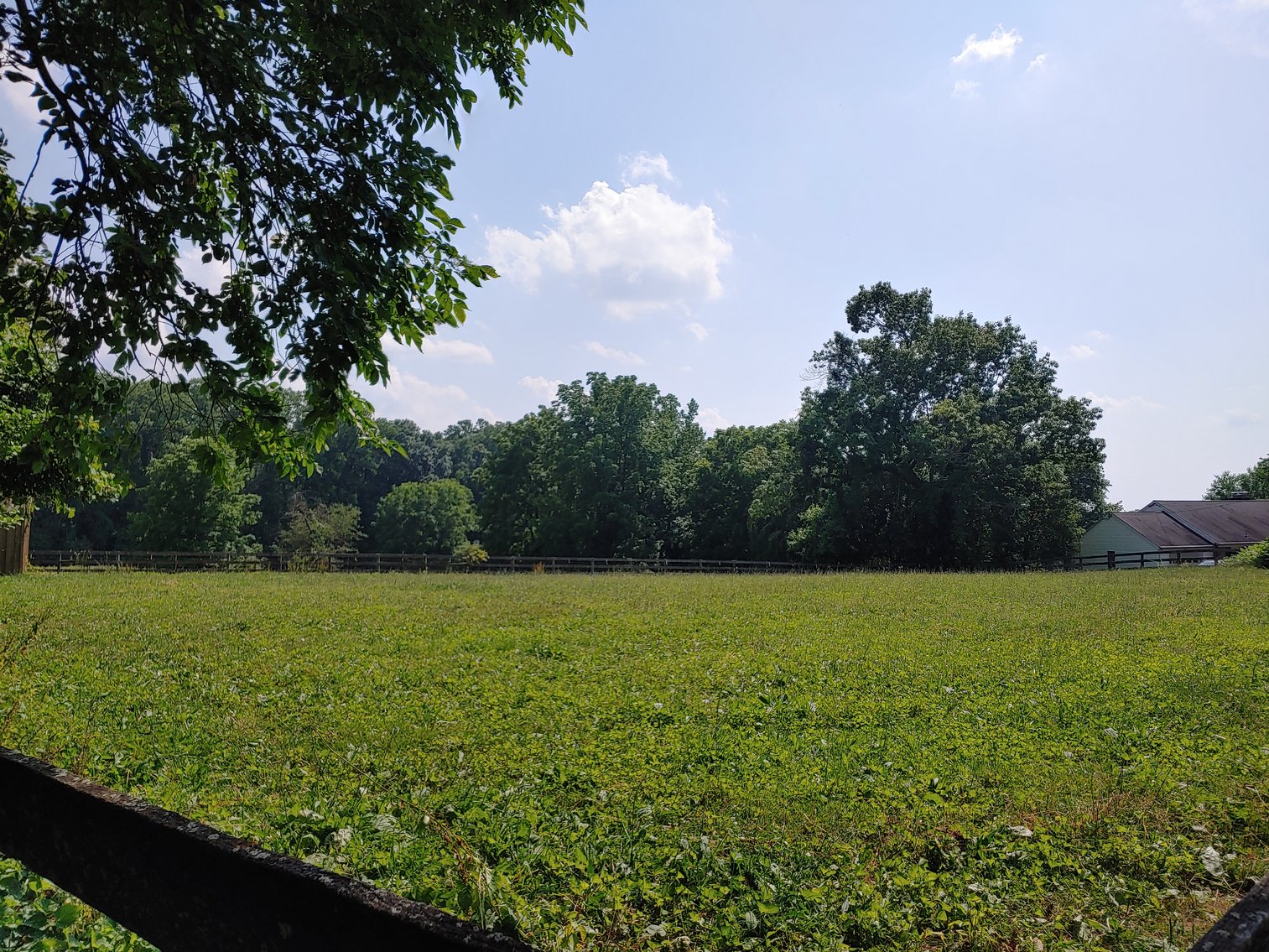 2.38+/- ACRE LOT OF UNIMPROVED GROUND