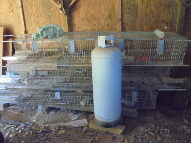 Image for PUBLIC ESTATE AUCTION (LIVING~MOVING)