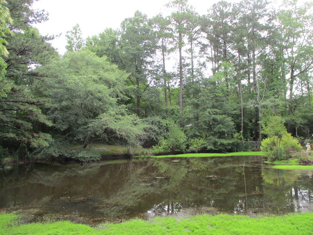 Image for LIVE AUCTION - SELLING HOUSE & PERSONAL PROPERTY August 8th @ 10:00 A.M.