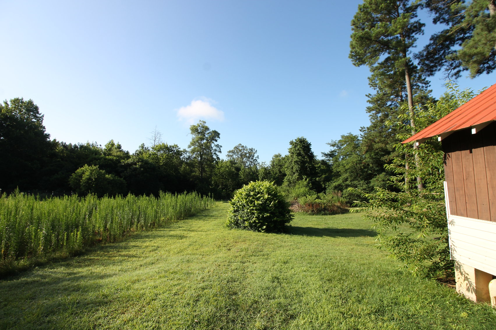 Image for Home & Lots - 3 BR/1 BA Home on .3 +/- Acre Lot AND Adjacent 3.3 +/- Acre & .7 +/- Acre Lots--SELLS to the HIGHEST BIDDER!!