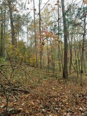 Image for 14.01 ± AC Residential Building Site - Elevated Building Lot - Albemarle County - 0 Thomas Jefferson Pky., Charlottesville, VA 22902