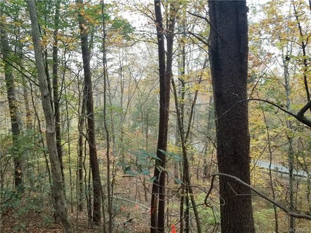 Image for 14.01 ± AC Residential Building Site - Elevated Building Lot - Albemarle County - 0 Thomas Jefferson Pky., Charlottesville, VA 22902