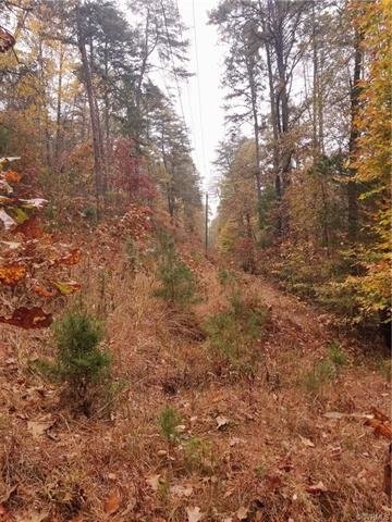 Image for 14.01 ± AC Residential Building Site - Elevated Building Lot - Albemarle County - 0 Thomas Jefferson Pky., Charlottesville, VA 22902