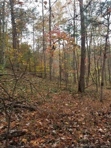 Image for 14.01 ± AC Residential Building Site - Elevated Building Lot - Albemarle County - 0 Thomas Jefferson Pky., Charlottesville, VA 22902