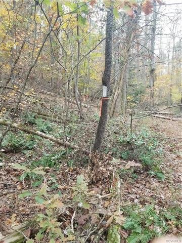 Image for 14.01 ± AC Residential Building Site - Elevated Building Lot - Albemarle County - 0 Thomas Jefferson Pky., Charlottesville, VA 22902