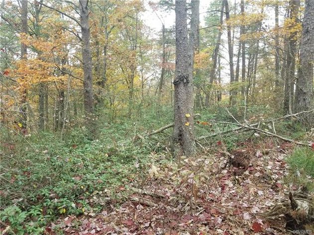 Image for 14.01 ± AC Residential Building Site - Elevated Building Lot - Albemarle County - 0 Thomas Jefferson Pky., Charlottesville, VA 22902