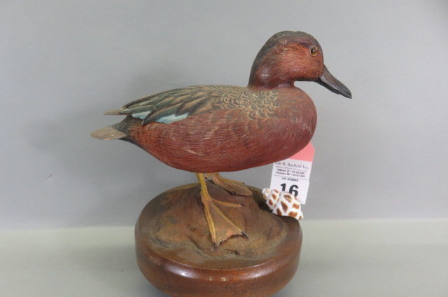 Image for July Sportsman's Timed Auction