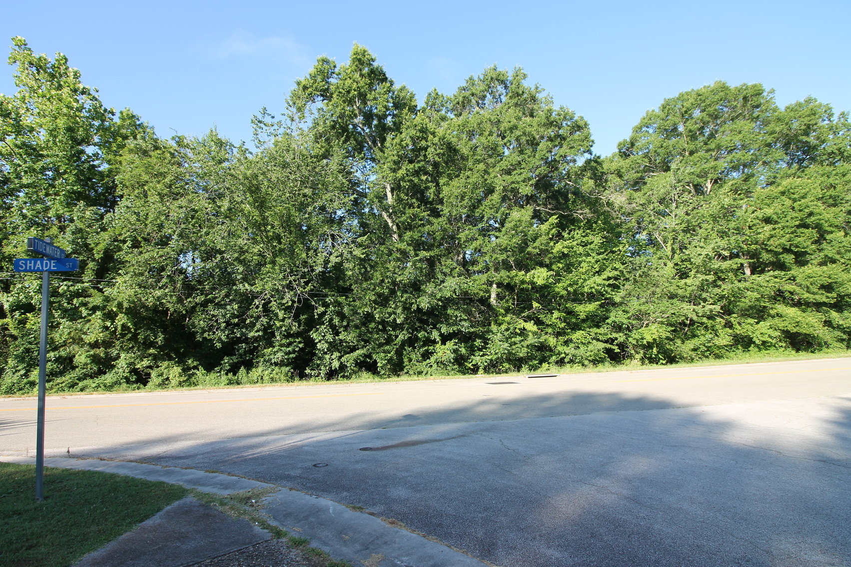 Image for 2 Parcels totaling 3.67 +/- Acres in Lunenburg County, VA--SELLS to the HIGHEST BIDDER!!