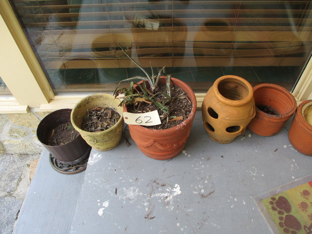 Image for LIVE AUCTION - SELLING HOUSE & PERSONAL PROPERTY August 8th @ 10:00 A.M.