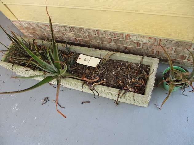 Image for LIVE AUCTION - SELLING HOUSE & PERSONAL PROPERTY August 8th @ 10:00 A.M.