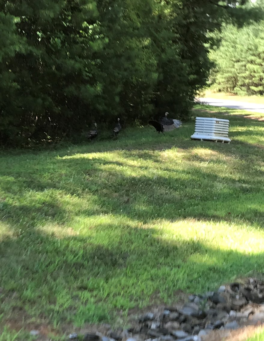 Image for 9.28 ± AC Residential Building Lot - Runaway Bay - Leesville Lakefront Community - Campbell County, VA