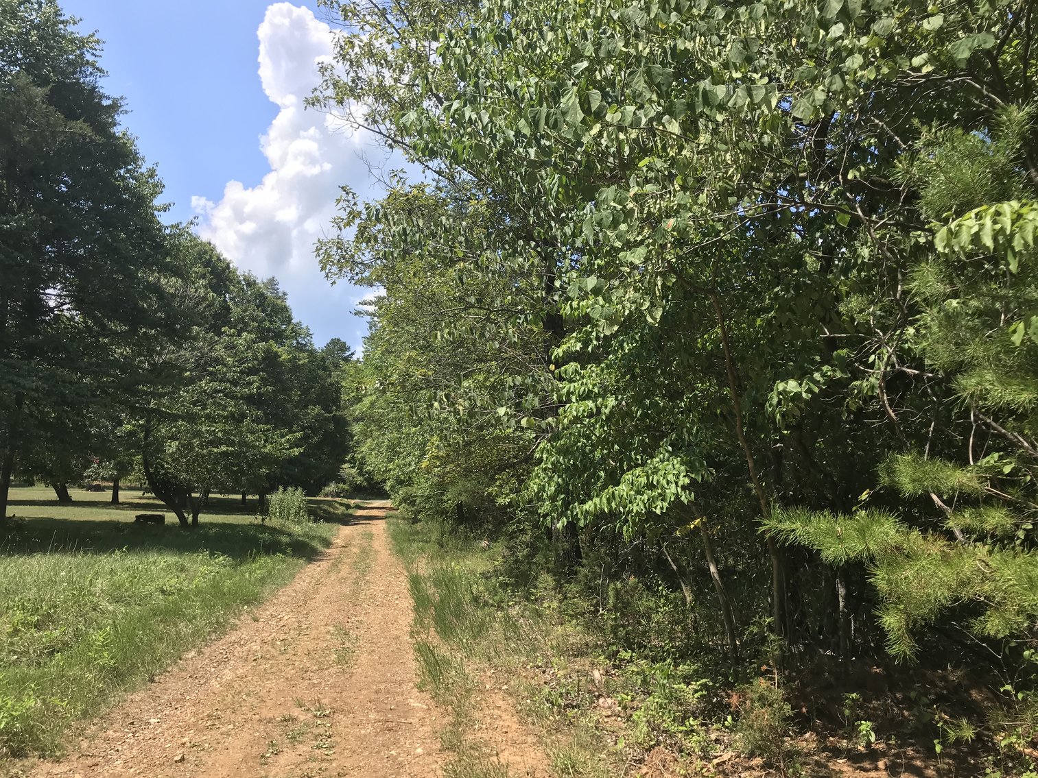 Image for 9.28 ± AC Residential Building Lot - Runaway Bay - Leesville Lakefront Community - Campbell County, VA