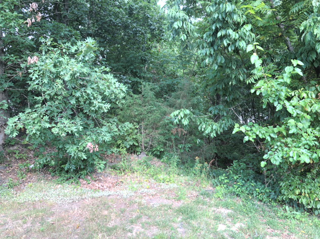 Image for Fairfax County Non-Judicial Sale of Tax Delinquent Real Estate