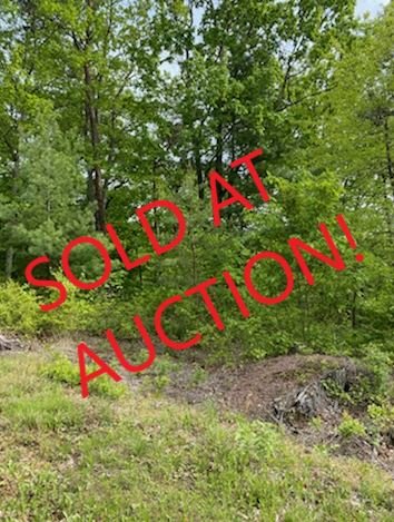 Image for Online Only Reserve Real Estate Land Auction!