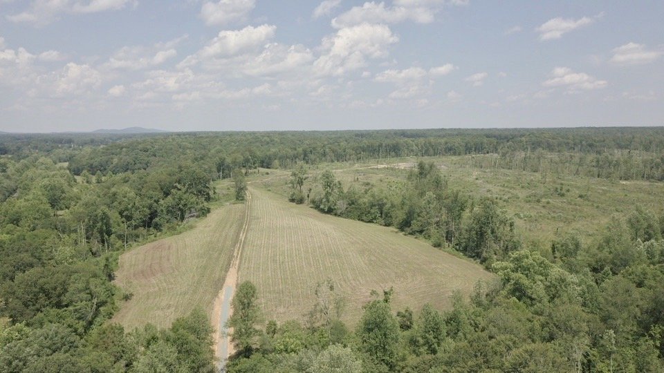 Image for 6 Tracts of Contiguous Raw Land Totaling 267 +/- Acres in Albemarle & Louisa Counties