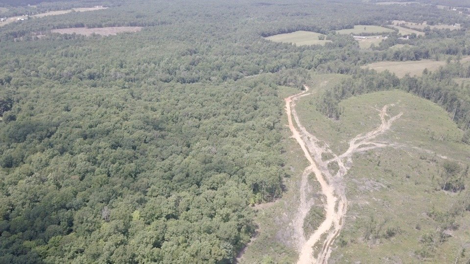 Image for 6 Tracts of Contiguous Raw Land Totaling 267 +/- Acres in Albemarle & Louisa Counties