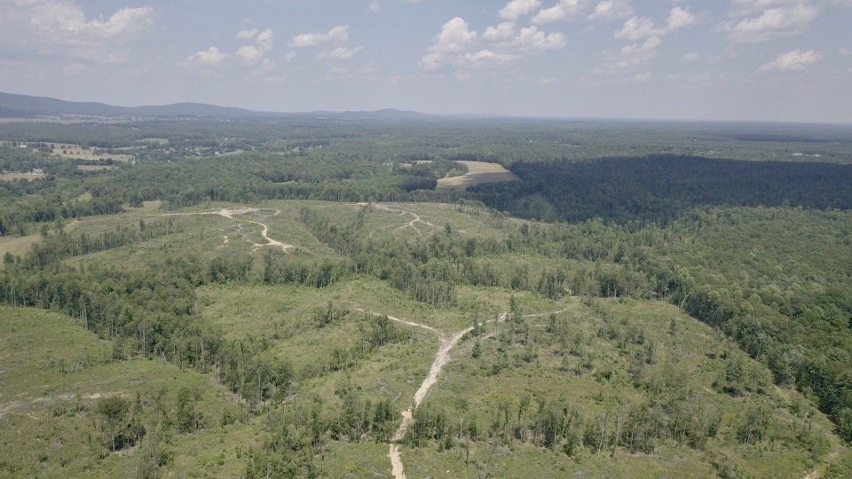 Image for 6 Tracts of Contiguous Raw Land Totaling 267 +/- Acres in Albemarle & Louisa Counties