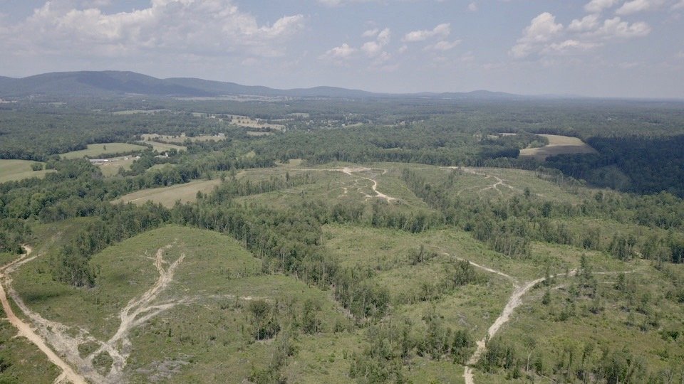 Image for 6 Tracts of Contiguous Raw Land Totaling 267 +/- Acres in Albemarle & Louisa Counties