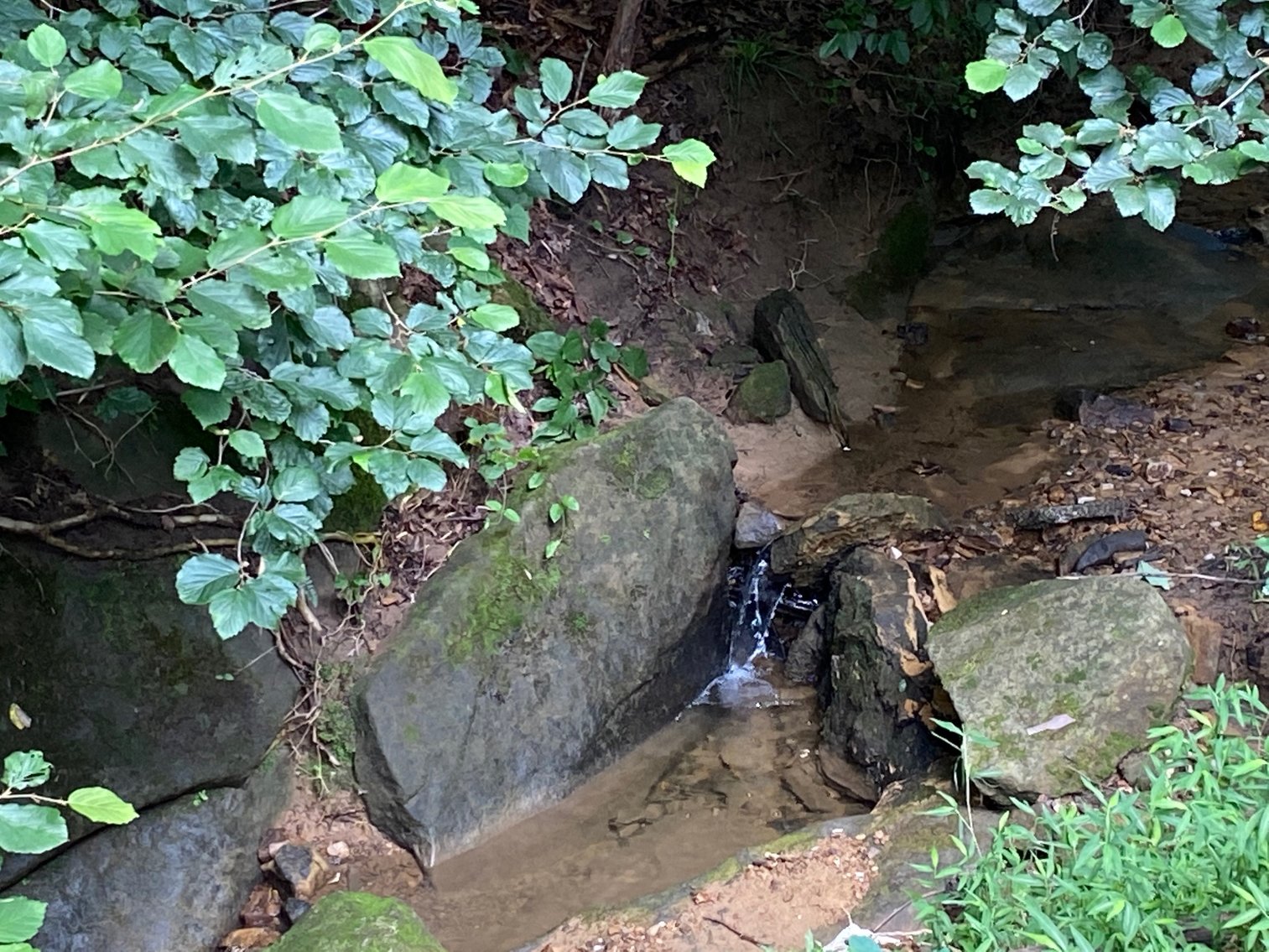 Image for Luxurious South Hills Townhome