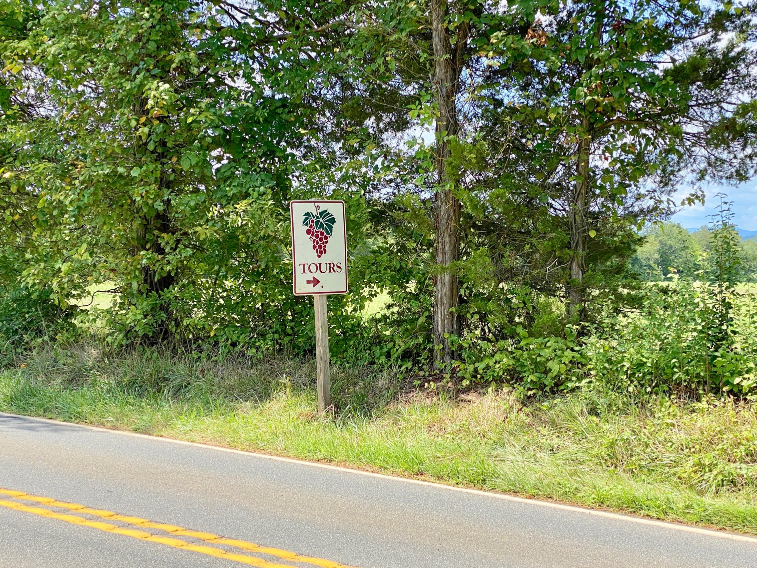 Image for 3 BR/2 BA Brick Home on 8.9 +/- Acres w/Detached Garage/Work Shop & Gorgeous Mountain Views